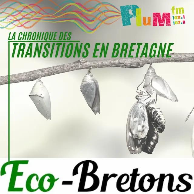 La chronique des transitions (en Bretagne) # 13 novembre 