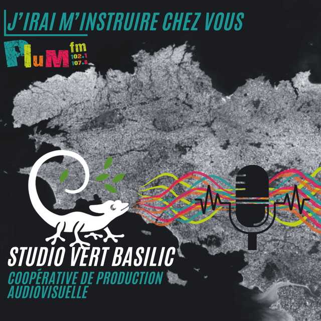 Studio Vert Basilic 