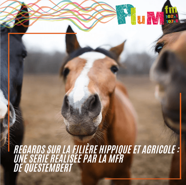 Le concours complet, avec Madeline