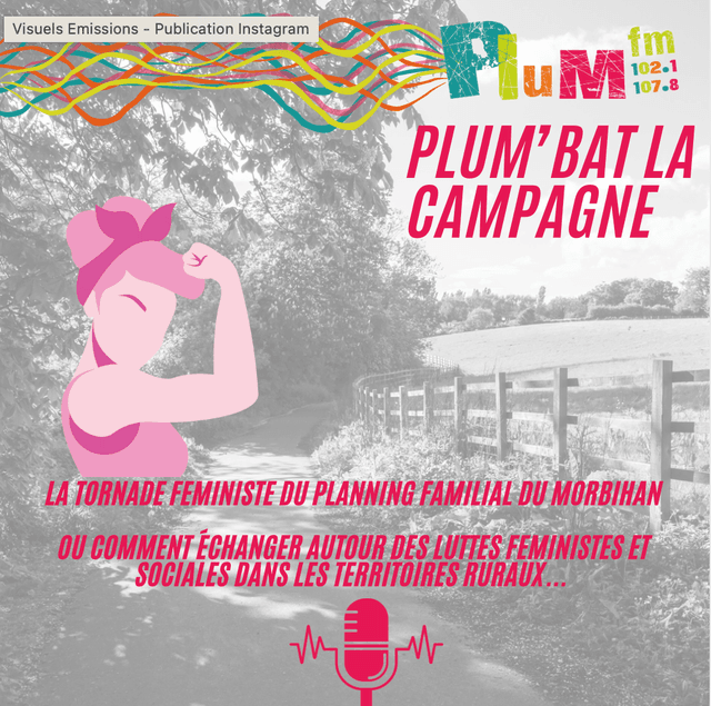Plum'bat la campagne avec La Tornade Féministe du Planning Familial du Morbihan