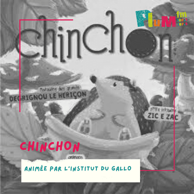 Chinchon #gallo