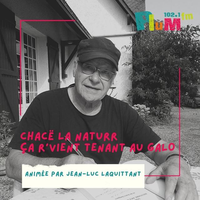 Chassez le naturel, il revient toujours au gallo #3