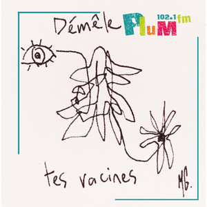 Démêle tes racines #5 Au Gallo ! 