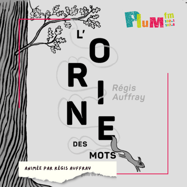 L'orine des mots