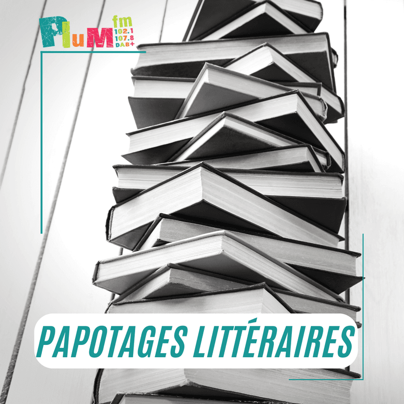 Papotages littéraires - épisode 30 - janvier 2025 : Dugain / Ghata / Berger / Gaudé / Sevrac  / May / Chauvy