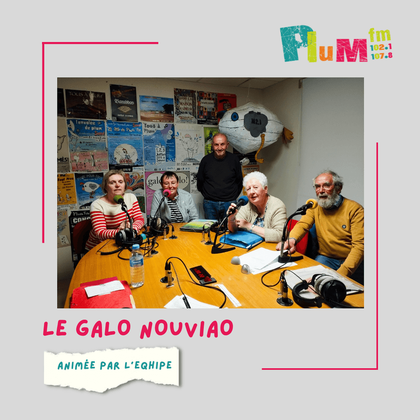 Le galo nouviao #gallo