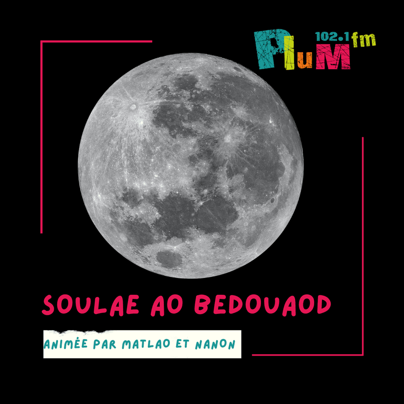 Le soulae ao bedouaod #gallo