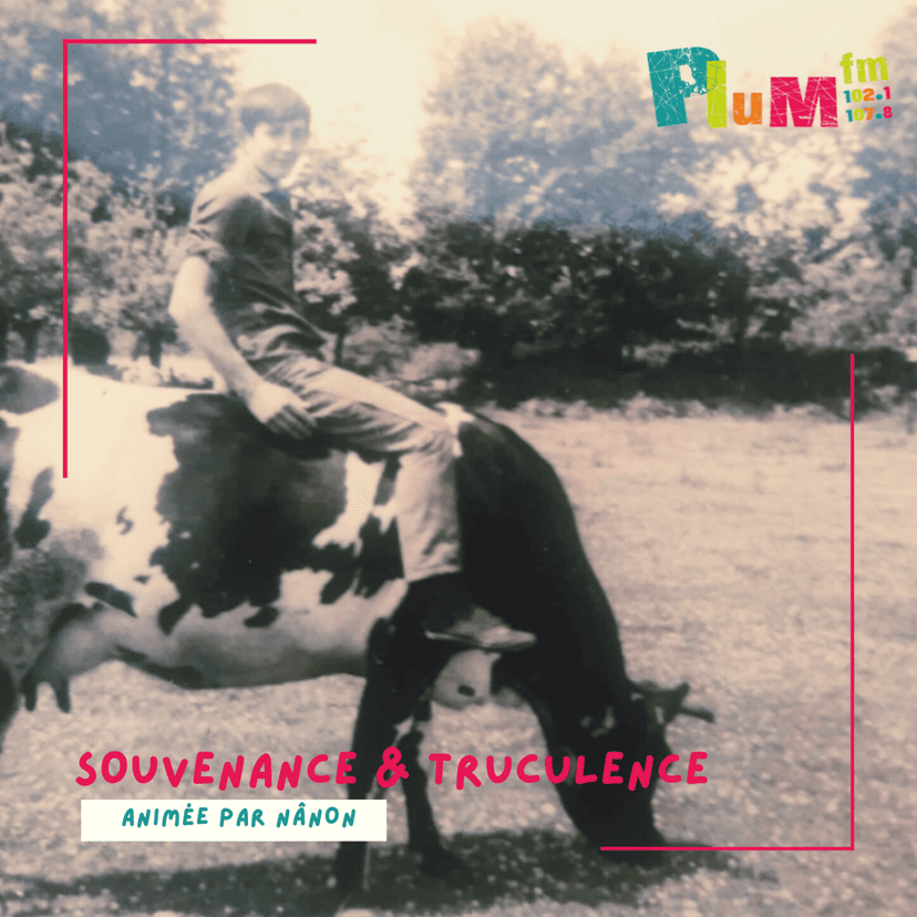 Souvenance & Truculence #gallo