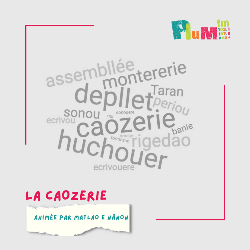 La caozerie #gallo