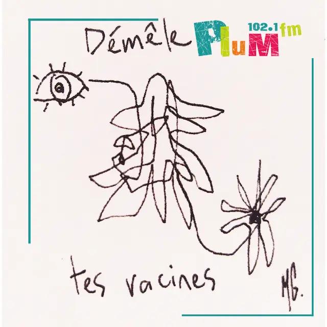 Démêle tes racines #12 Bûche ou embûche ?