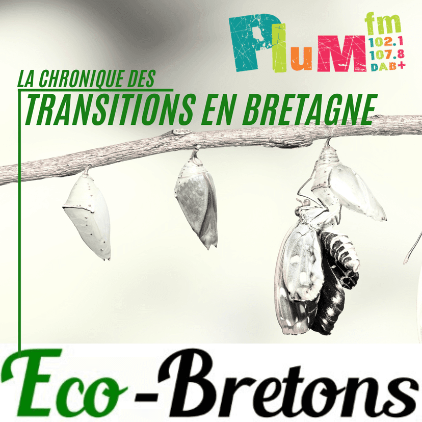La chronique des transitions (En Bretagne) # 2 juillet 