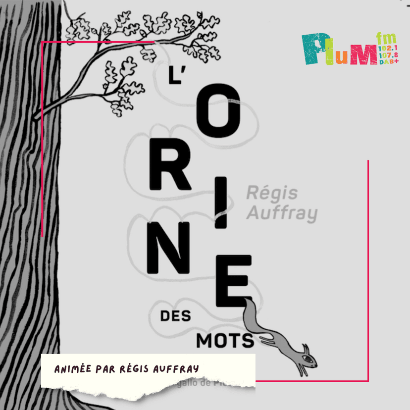 L'orine des mots : Chouémë