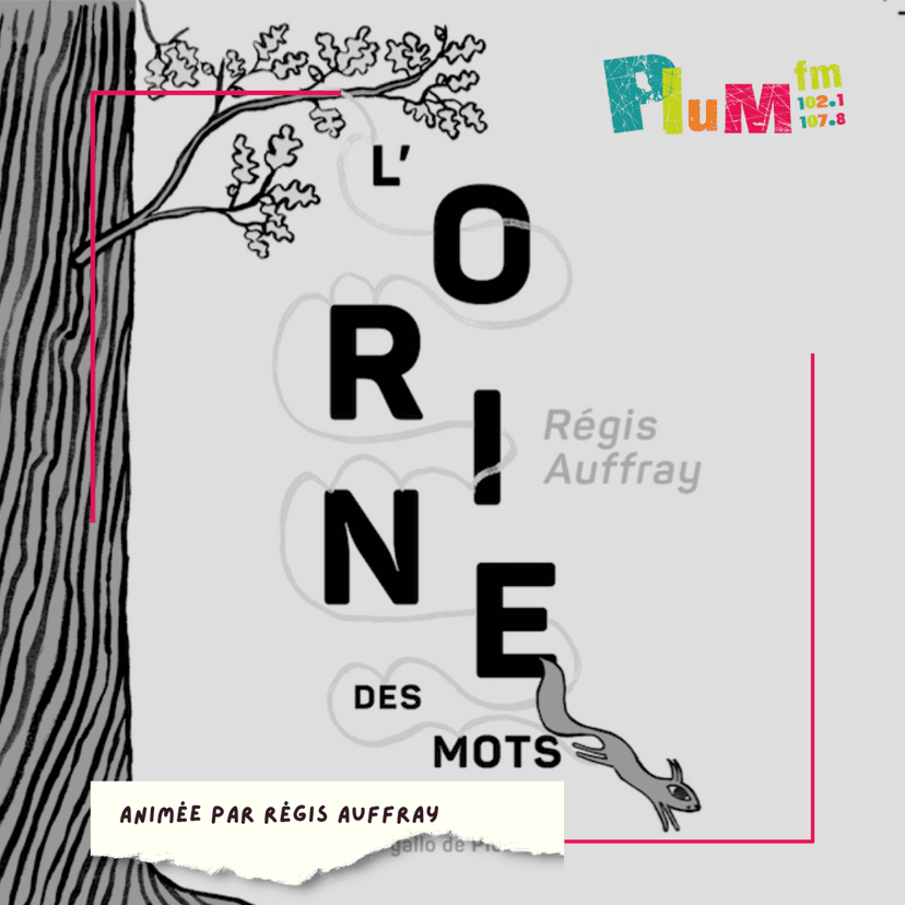 L'orine des mots #gallo