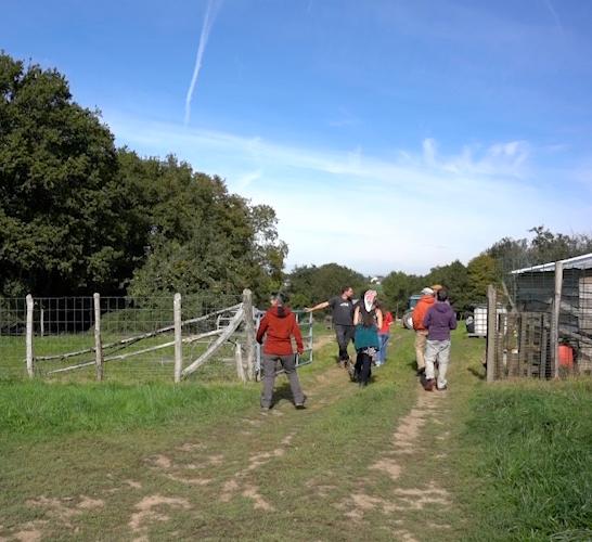 Commun Accord #4 Connexion