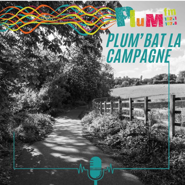 Plum'bat la campagne